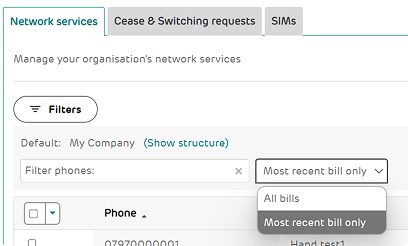Network services screen